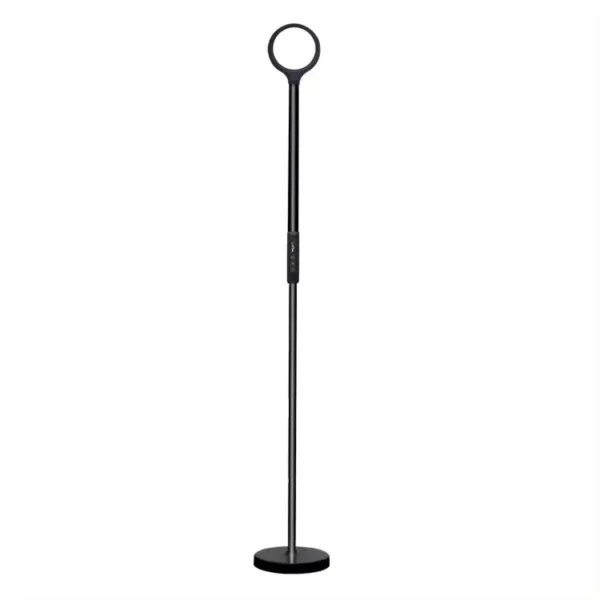 Eye Protection Modern Floor Lamp(3)