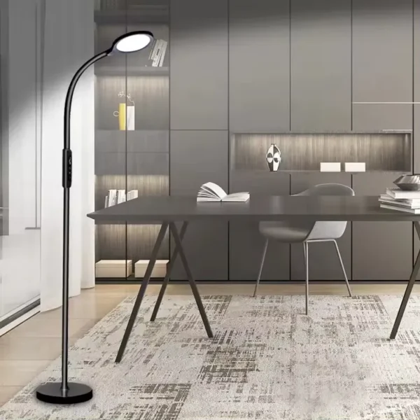 Eye Protection Modern Floor Lamp(5)
