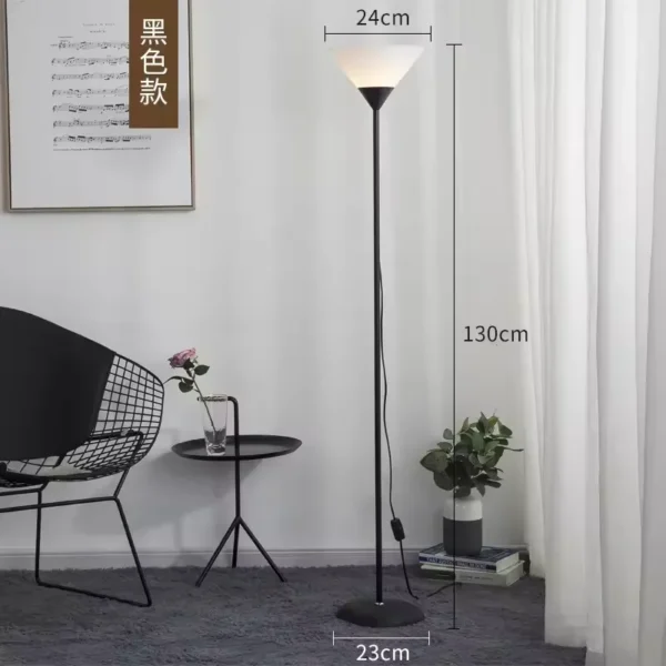 black indoor floor lamp